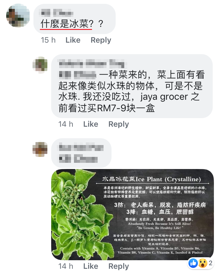 脆口健康的 冰菜 美食掀起热潮 Redchili21